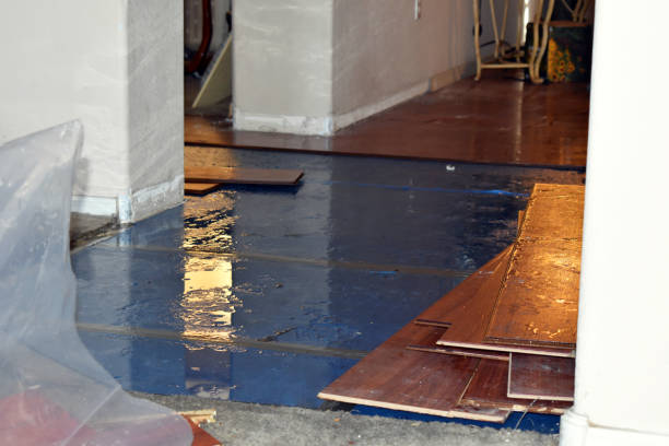 Professional Sewage Cleanup technician working in Walhalla, MI